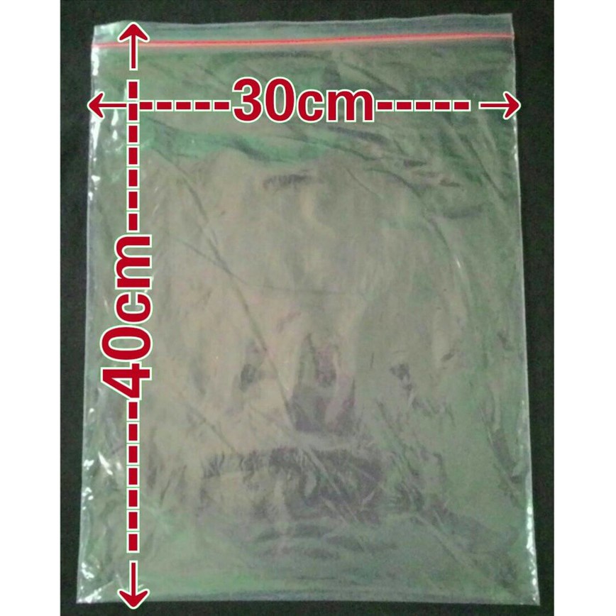 PLASTIK ZIPPER / KANTONG PLASTIK ZIP LOCK UKURAN 30 CM x