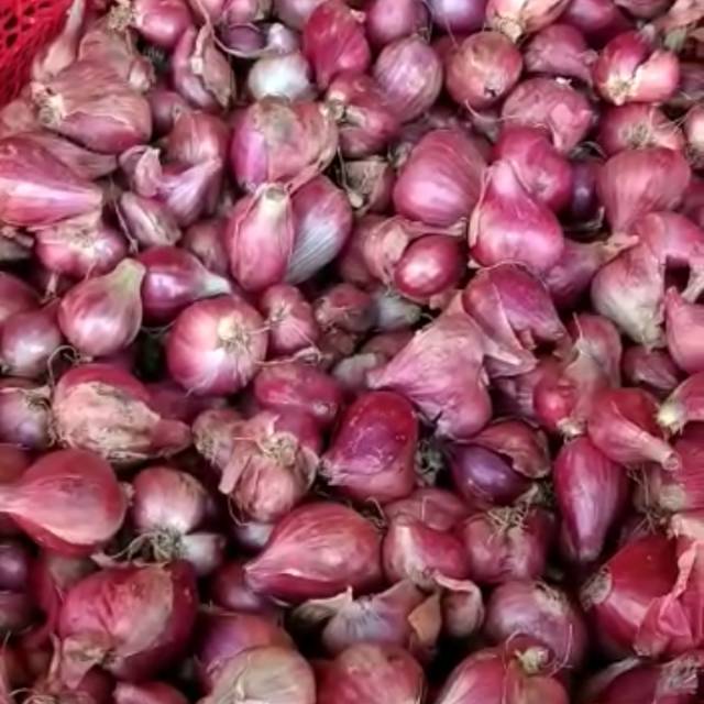 

Bawang merah