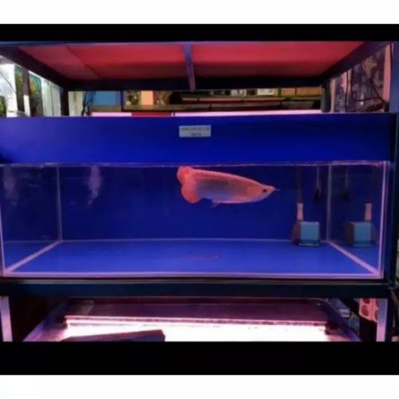 STIKER AQUARIUM/SKOTLET AQUARIUM/STIKER SKOTLET AQUARIUM/SKOTLET BACKGROUND AQUARIUM TAHAN AIR