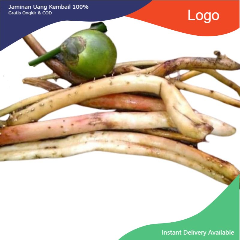 

Promo 100gr Akar Pinang Muda Fresh & organic