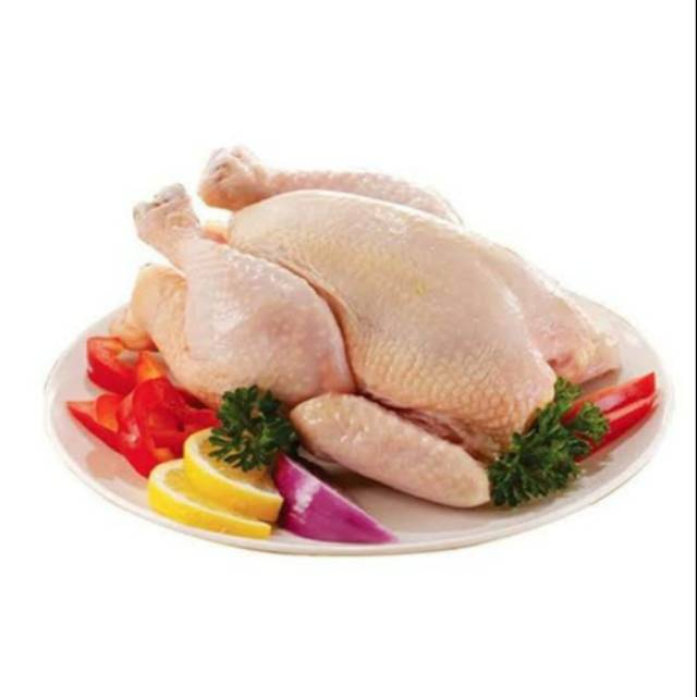 

Ayam frozen