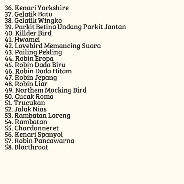 Chip Speaker Masteran Burung Juara Nasional Full Terapi Burung