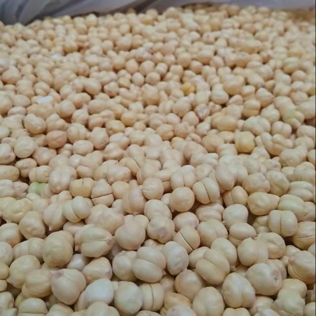 

Kacang Arab Original
