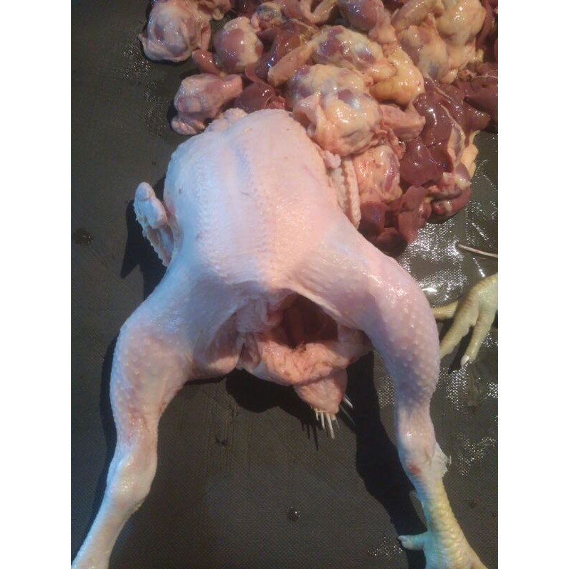 

Ayam utuh 1 ekor size (1400-1600 gram)