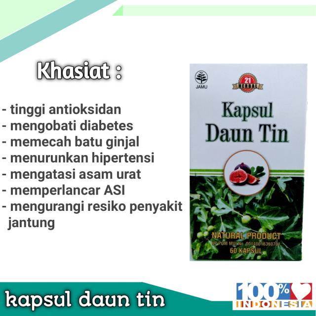 

Kapsul daun tin original obati asam urat batu ginjal diabetes wasir isi 60 kapsul
