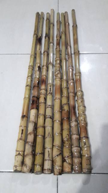 Bambu cendani untuk gagang joran custom