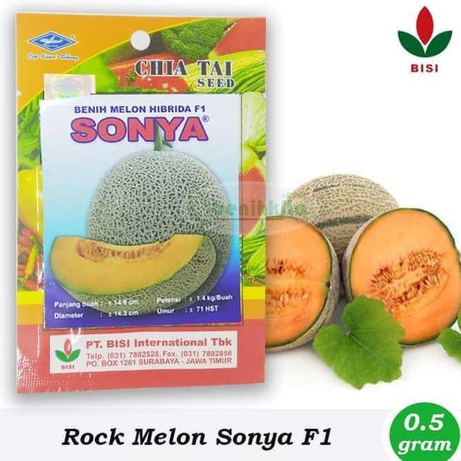 (Bestseller) New Benih Bibit Rock Melon Sonya F1 Bisi <
