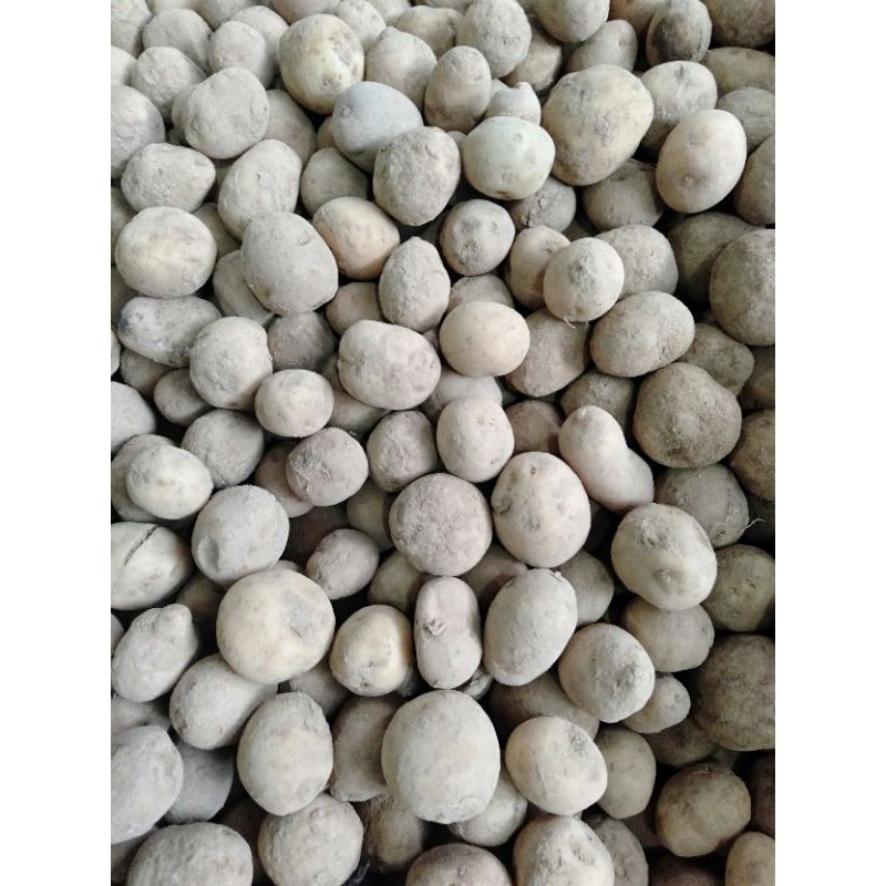 

kentang rendang, kentang kecil