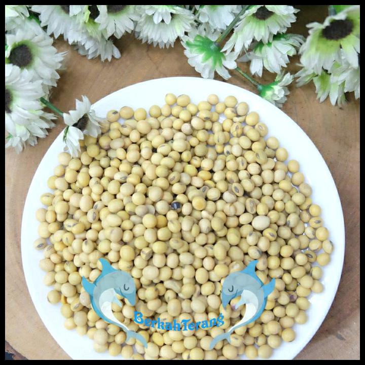 

Kacang Kedelai 1Kg Super / Kacang Kedele