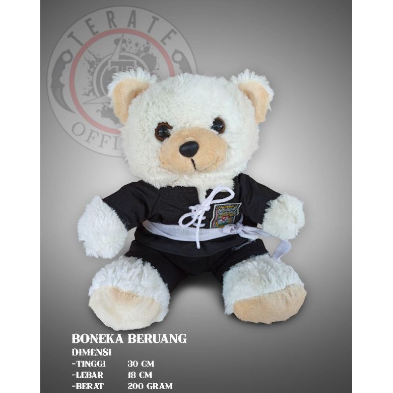 BONEKA BERUANG KECIL