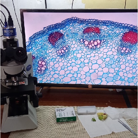 Camera Kamera Microscope 4K Hdmi ULTRA HD Model Bulat Original