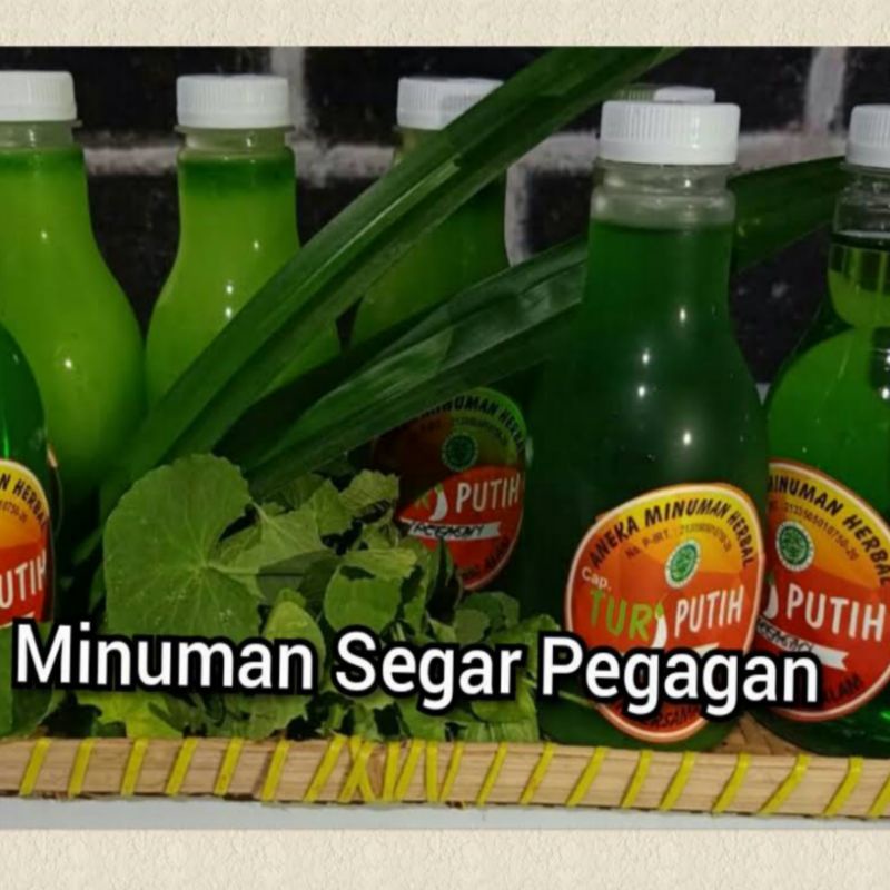 

Minuman Segar Pegagan, Minuman Kesehatan, Jamu herbal Pegagan