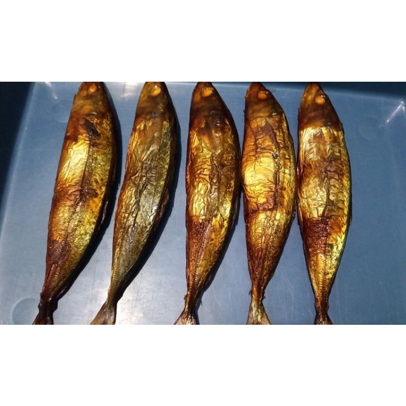 

ANEKA IKAN PANGGANG ASAP/ Layang / Tongkol