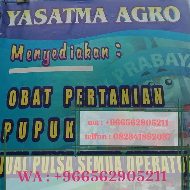 yasatma.agro