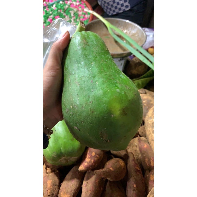 

pepaya muda 1kg