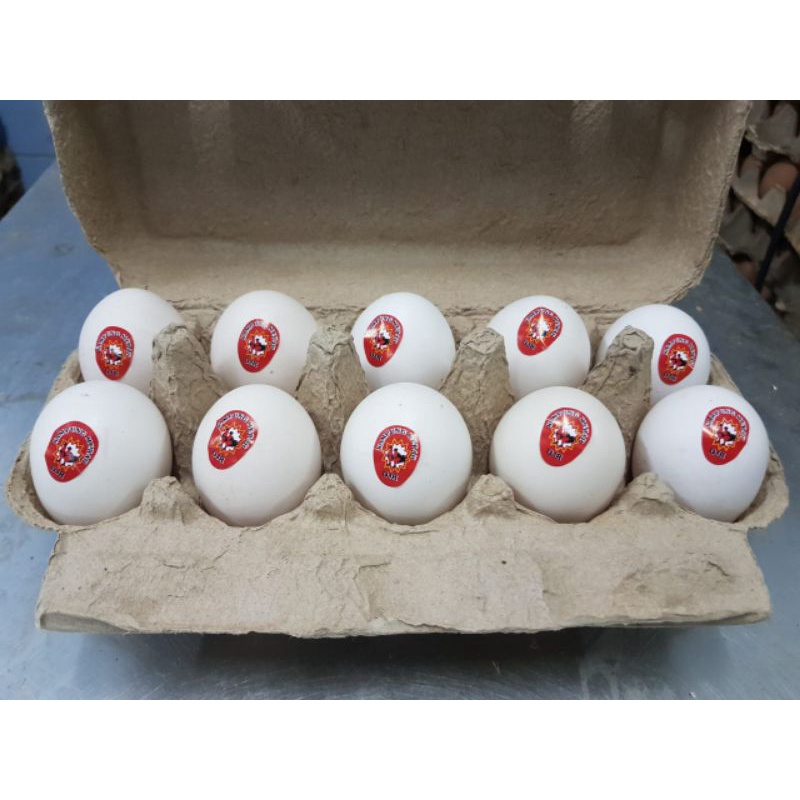 

RB TELUR AYAM KAMPUNG SUPER ISI 10 BUTIR