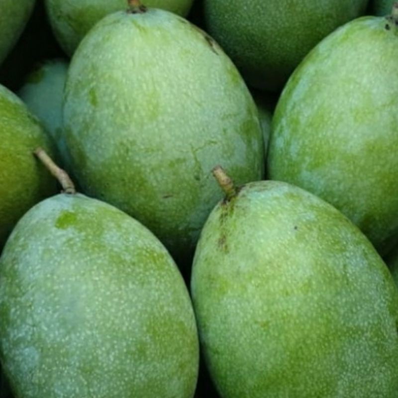 

mangga manalagi