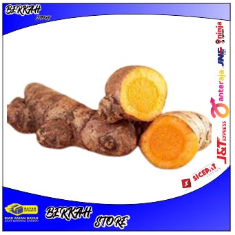 

TEMULAWAK SEGAR FRESH 500 GR ANTI CORONA