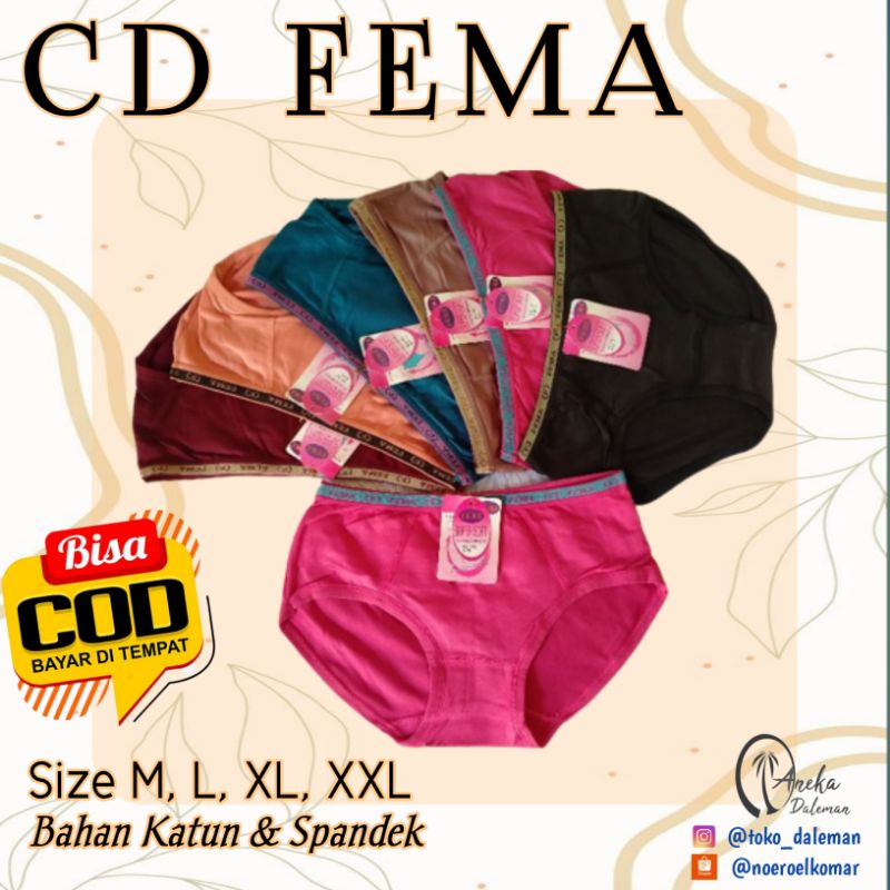 6pcs CD Fema wanita/Celana dalam wanita/CD polos CD dewasa