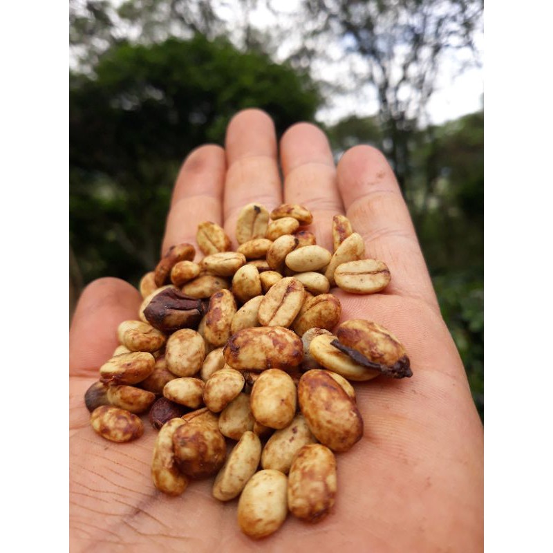 

bubuk kopi Gayo honey 1kg