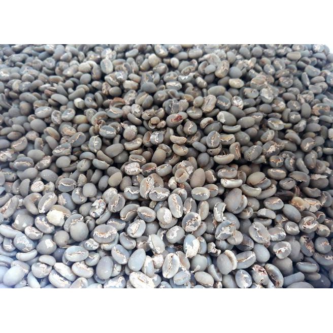 

M0Y5 Green Bean Arabica Gayo Semi Wash(Wet Hull)1000 Gr (Biji Mentah) Mxfq