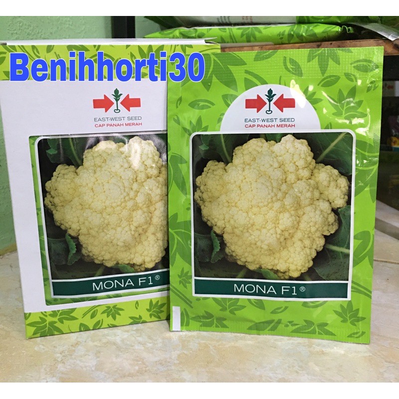 Benih Bunga Kol Mona F1 isi 10 gram