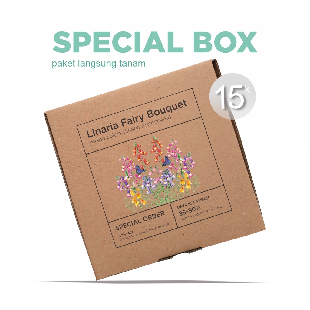 Paket Langsung Tanam - Gardening Kit - SPECIAL BOX - Benih Bunga Linaria Fairy Bouquet Mixed Colors Flower Seeds