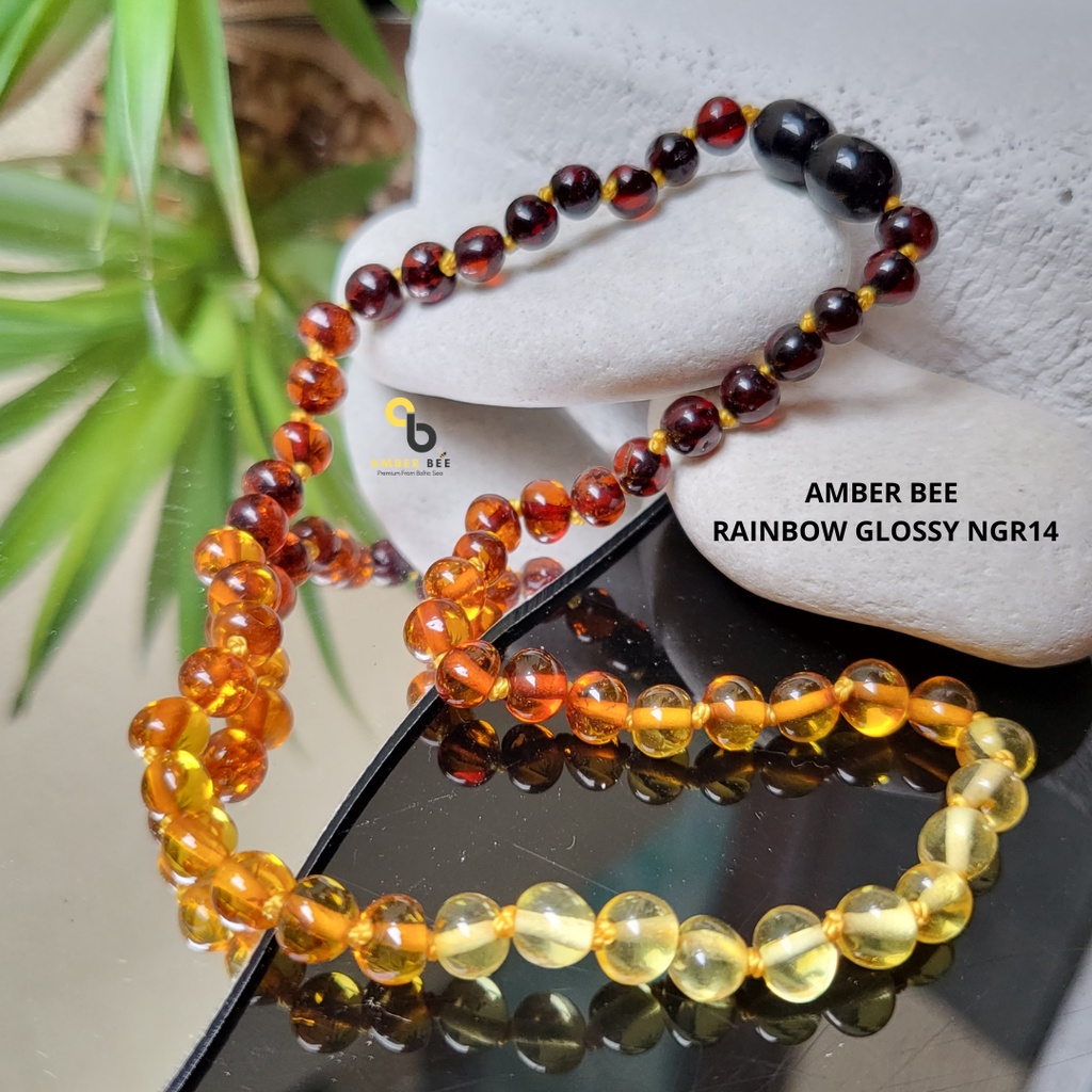 Kalung Amber Anak Premium Glossy Rainbow NGR14 By Amber Bee