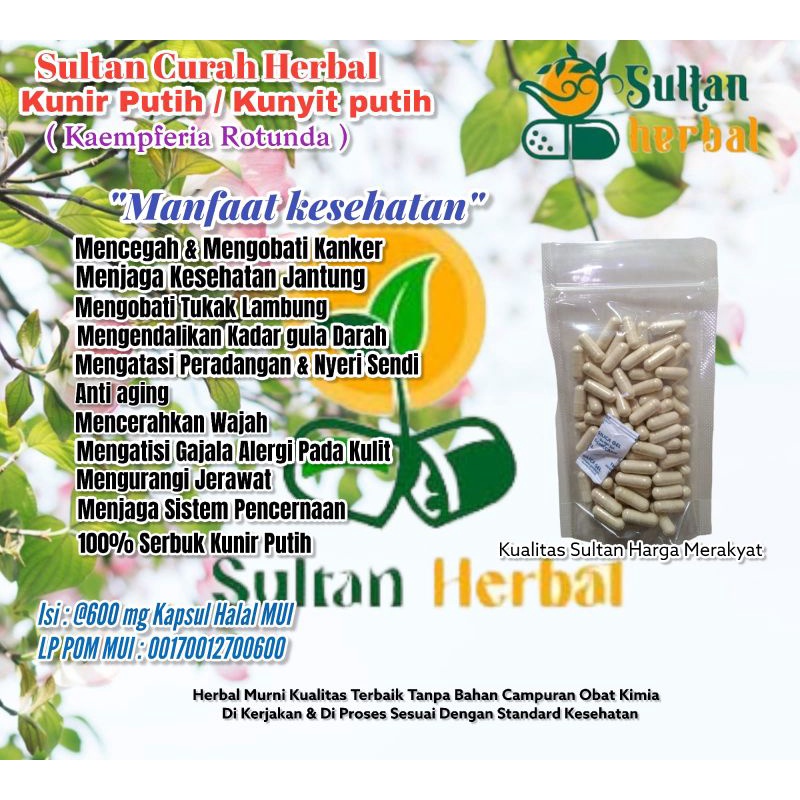 Jual Kapsul Curah Herbal Kunir Kunyit Putih Kanker Kolestrol Stroke Capsul Shopee Indonesia