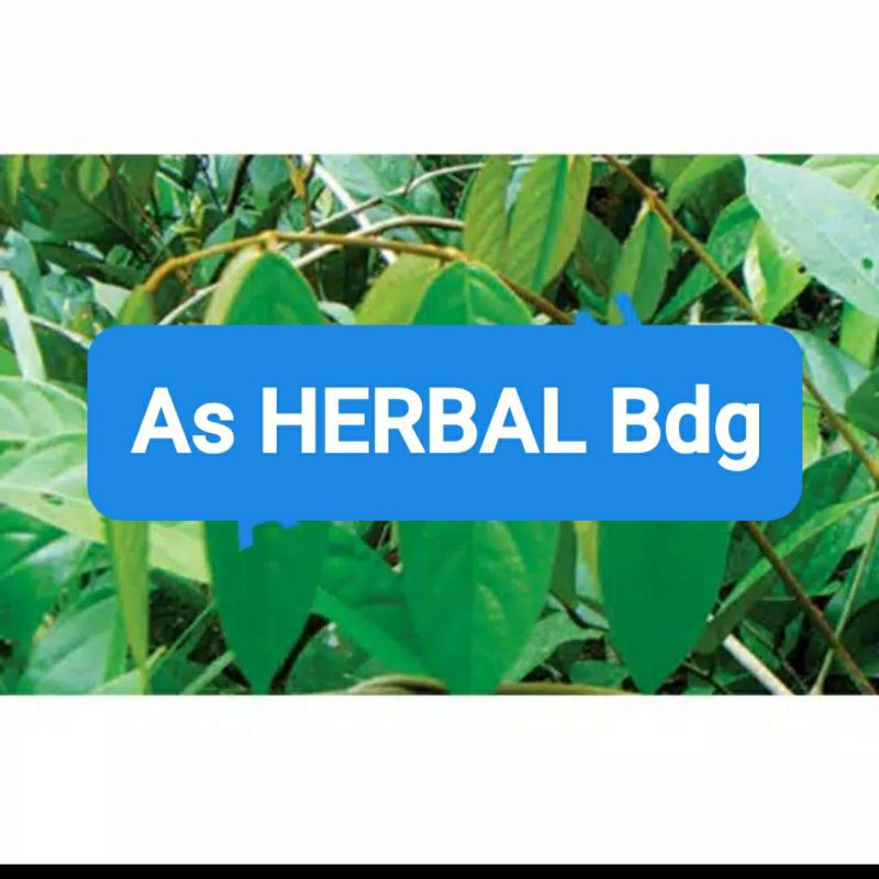 

Daun tuba atau daun akar tuba segar 250 gram-az