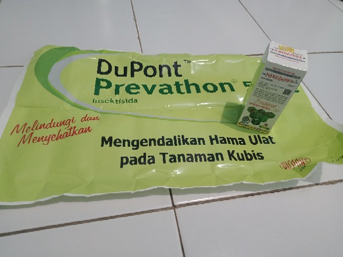 Kebutuhan Kebun Toxedown Predator  Basmi Hama Sampai Tuntas Insektisida Sistemik Terbaru 100 % Ori