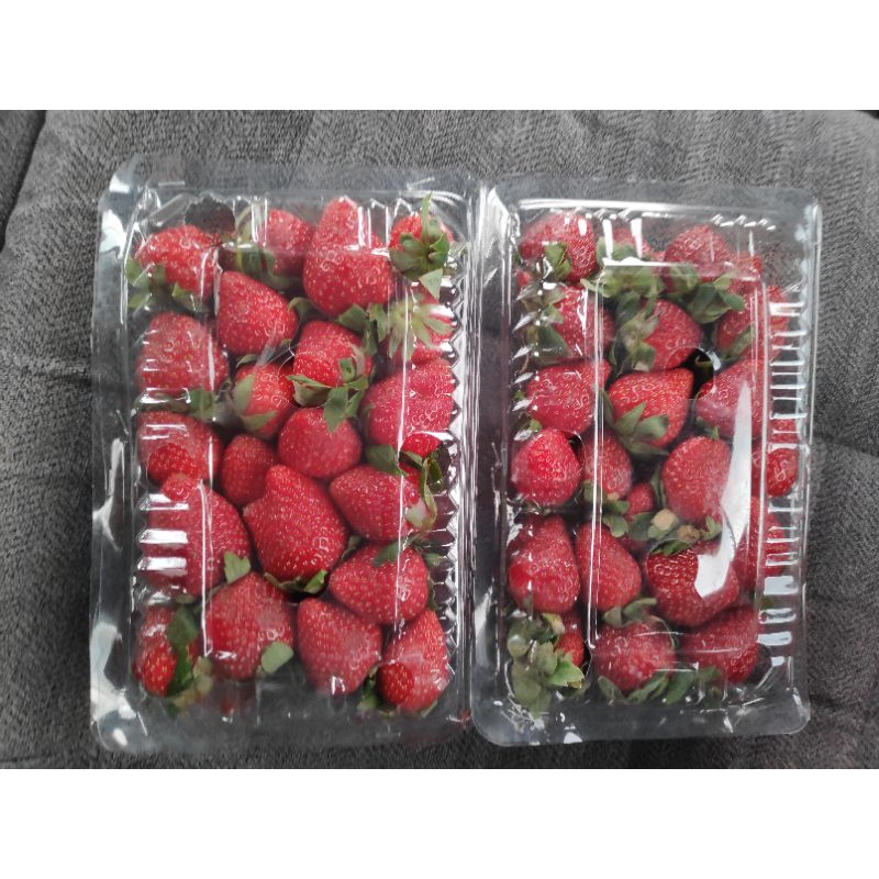 

Strawberry asam manis segar ukuran besar