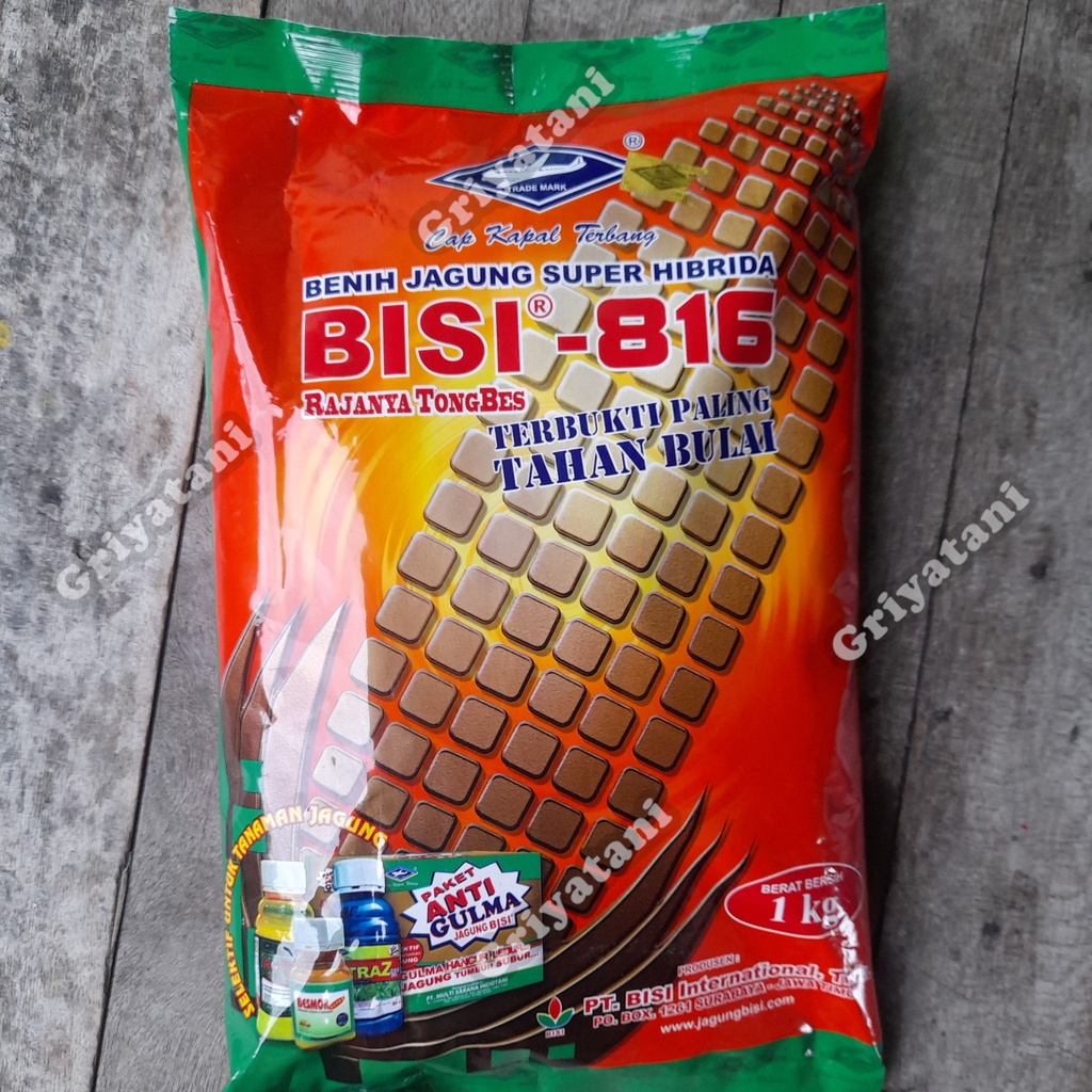 Benih Jagung Hibrida Bisi 816 1 Kg