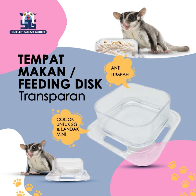 TEMPAT MAKAN / FEEDING DISK SUGAR GLIDER TRANSPARANT ANTI TUMPAH