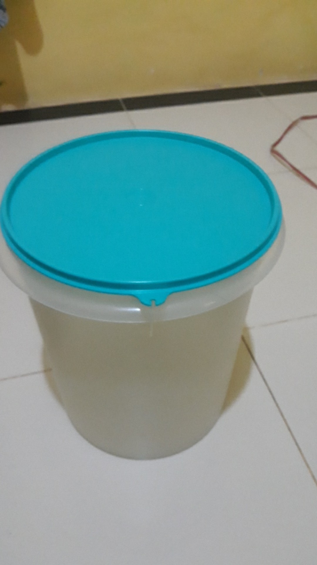 Seal Tutup Giant Canister 8.4l / D 24cm
