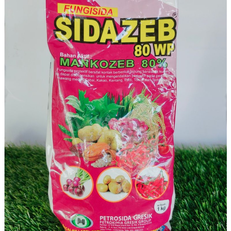 FUNGISIDA SIDAZEB 80 WP BAHAN AKTIF MANKOZEB 1kg