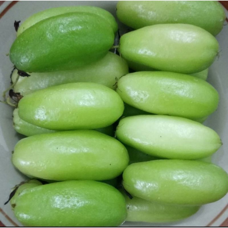 

Buah Belimbing Wuluh Fresh per 250gr