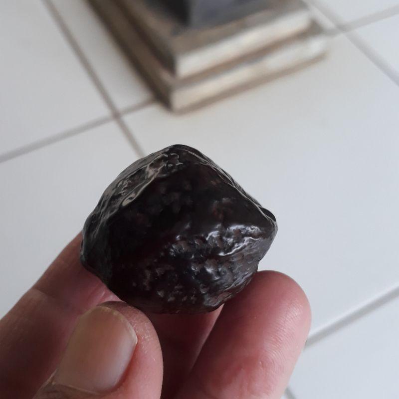 Muncang Adu Eti Rajabatok Garung