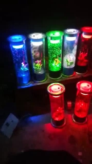 AQUARIUM IKAN CUPANG MINI TABUNG FULL HIASAN DAN LAMPU AQUARIUM IKAN CUPANG MINI TABUNG FULL HIASAN DAN LAMPU