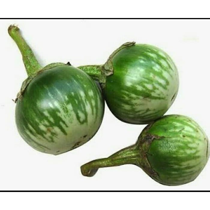 

Terong Bulat Sayuran [500 g]