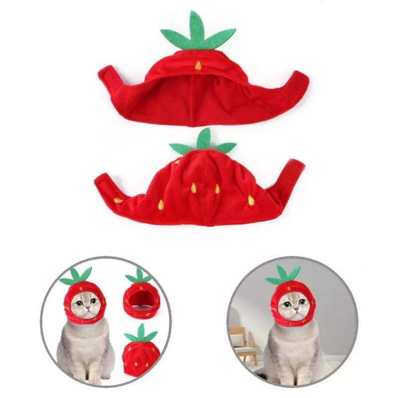 Topi kucing anjing bentuk strawberry