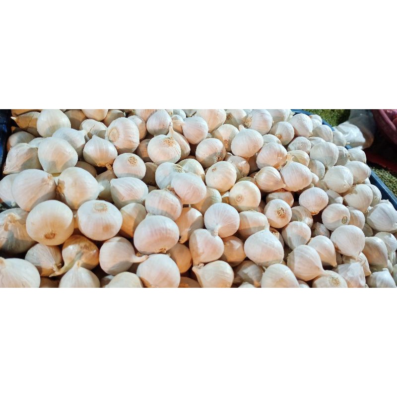 

Bawang Putih Tunggal || 100gr