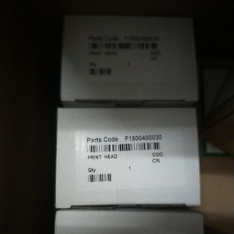 Print head Epson L800 head epson L800 L805