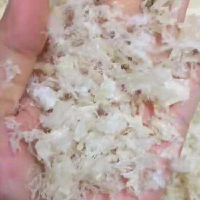 

Sarang burung walet per 100gram jaminan bagus n original