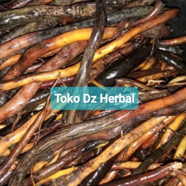

Akar aren segar asli fresh 1 kg ready-az