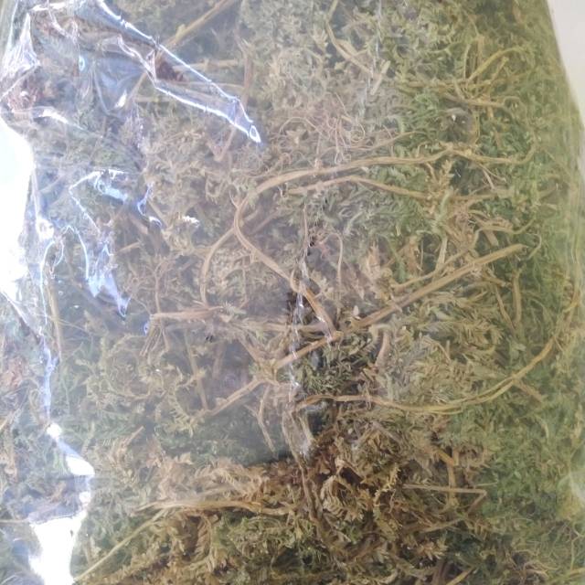 

Daun Cakar Ayam Kering 500gr