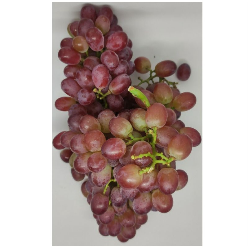 

Anggur crimson RRC | 1 kg
