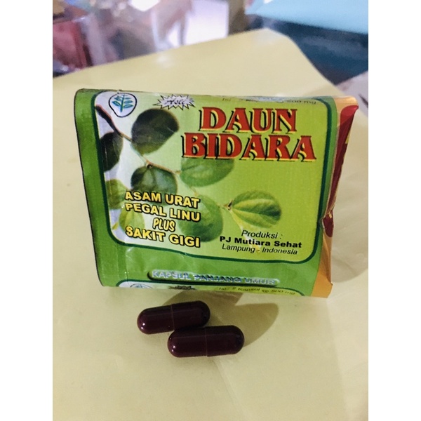 Kapsul Daun Bidara Persachet Asli