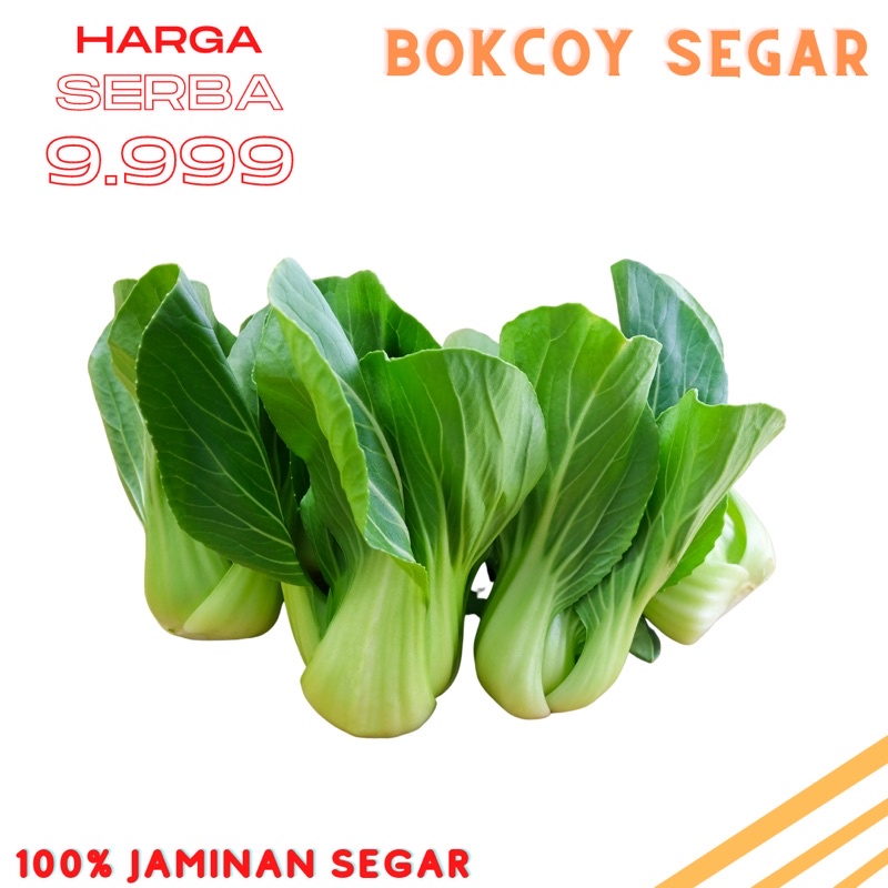 

Bokcoy pokcoy segar