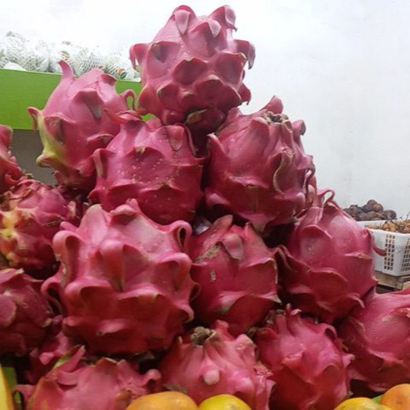 

Buah Naga Merah (500 Gram)